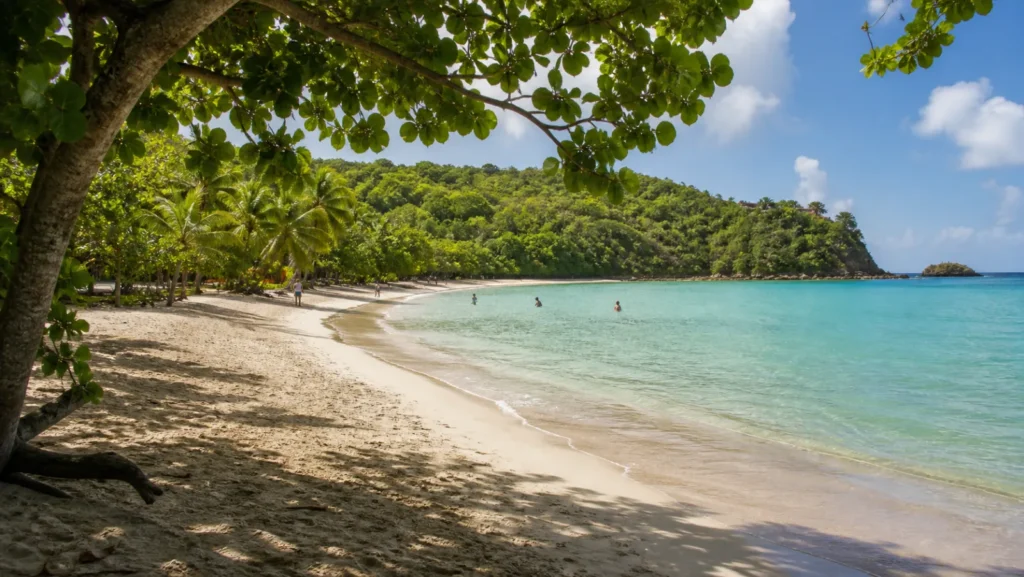 Plage de l Anse Figuier en Martinique
