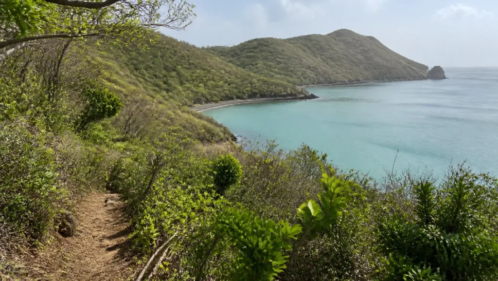 Baie du Trésor sur la presqu île de la Caravelle