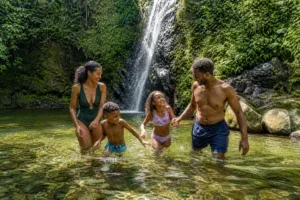 Cascade dans la forêt tropicale