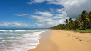Grande plage sauvage de Grand Macabou