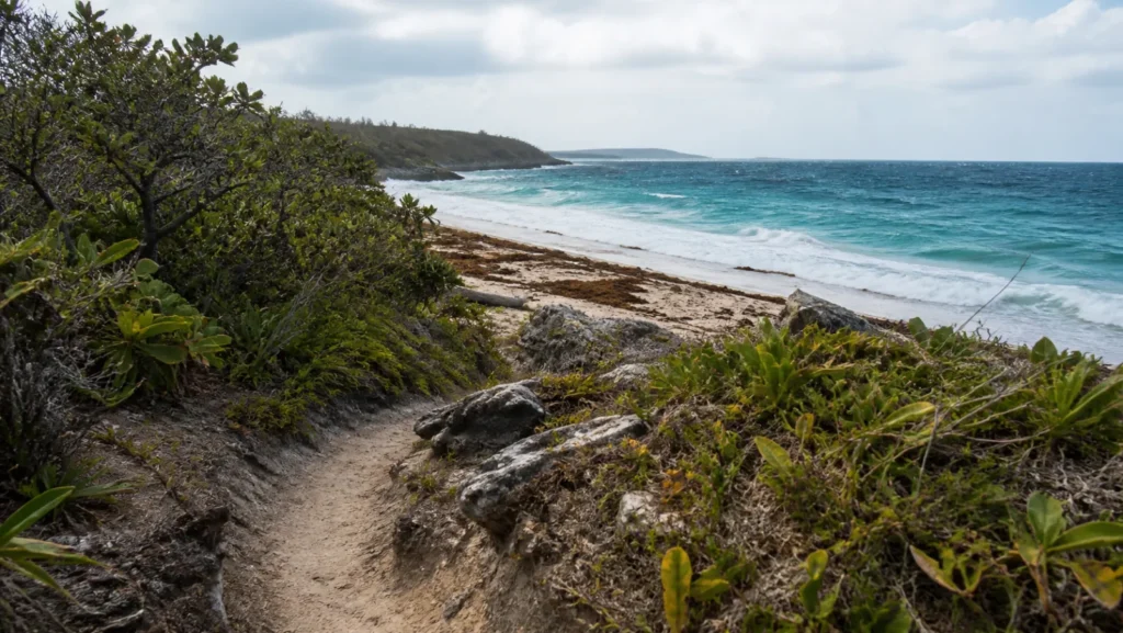 Sentier et plage sauvage de Petit Macabou