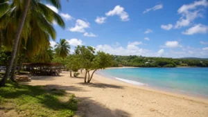Plage de Corps de Garde à Sainte-Luce en Martinique