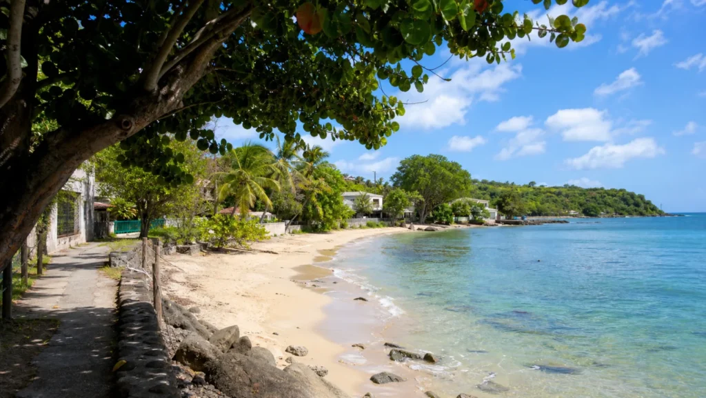 Plage de Gros Raisin à Sainte-Luce en Martinique