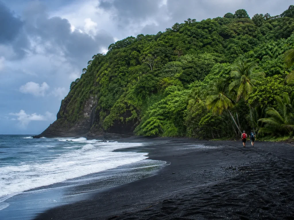 Plage sauvage de sable noir dans le nord de la Martinique