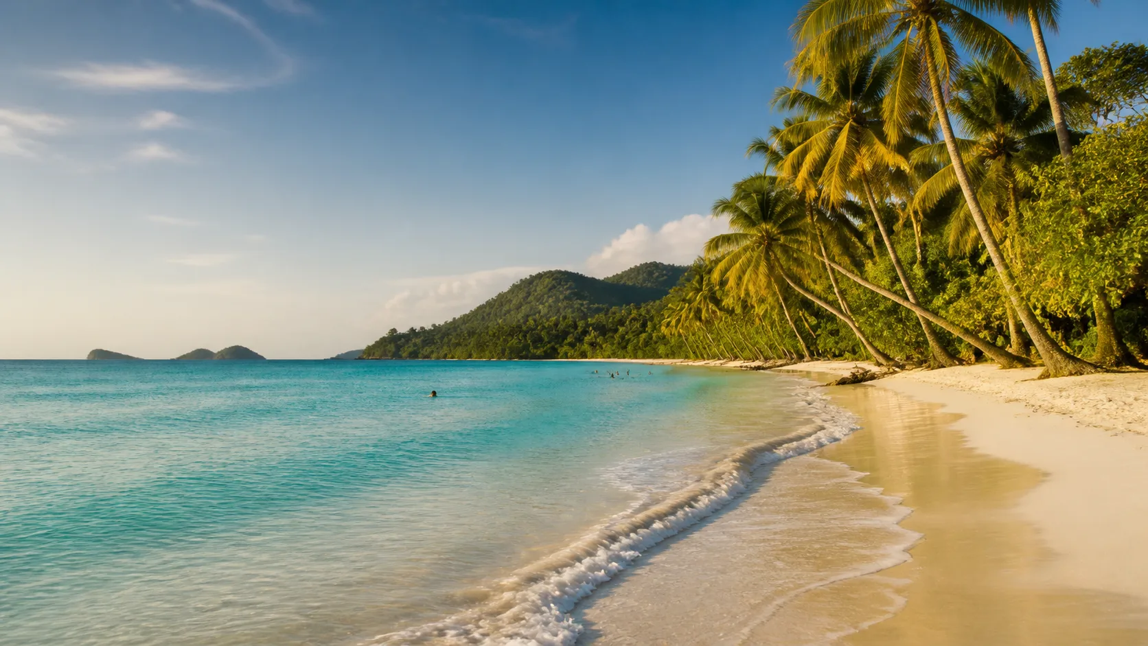 Plage de sable blanc bordée de cocotiers en Martinique