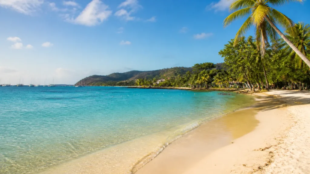 Plage de Pointe Marin à Sainte-Anne en Martinique