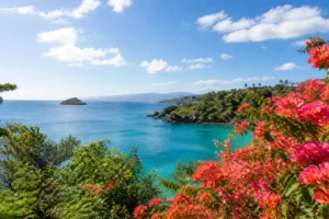 Vue aérienne du littoral martiniquais