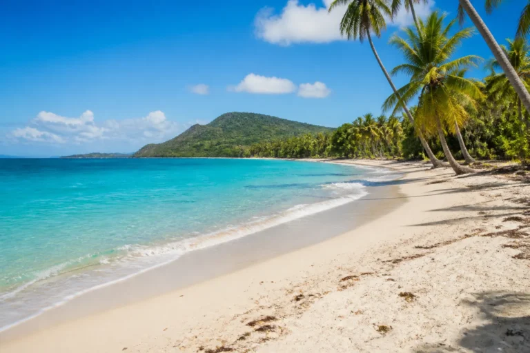 Plage tropicale de Sainte-Anne en Martinique